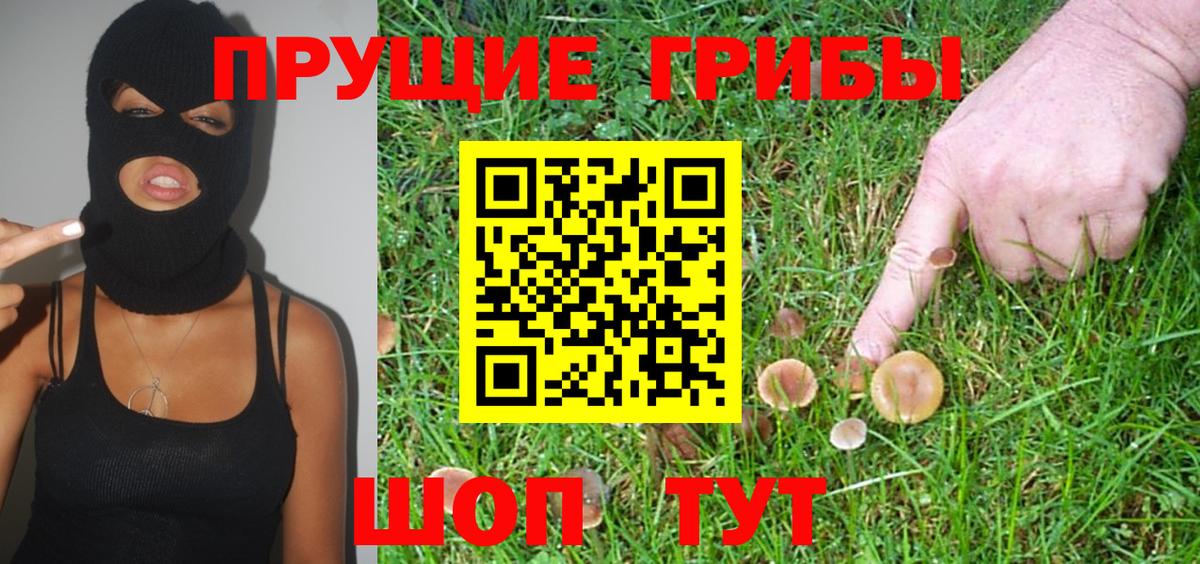 Галлюциногенные грибы ЛСД  Псилоцибиновые грибы прущие грибы  Саров  Вход с VPN 